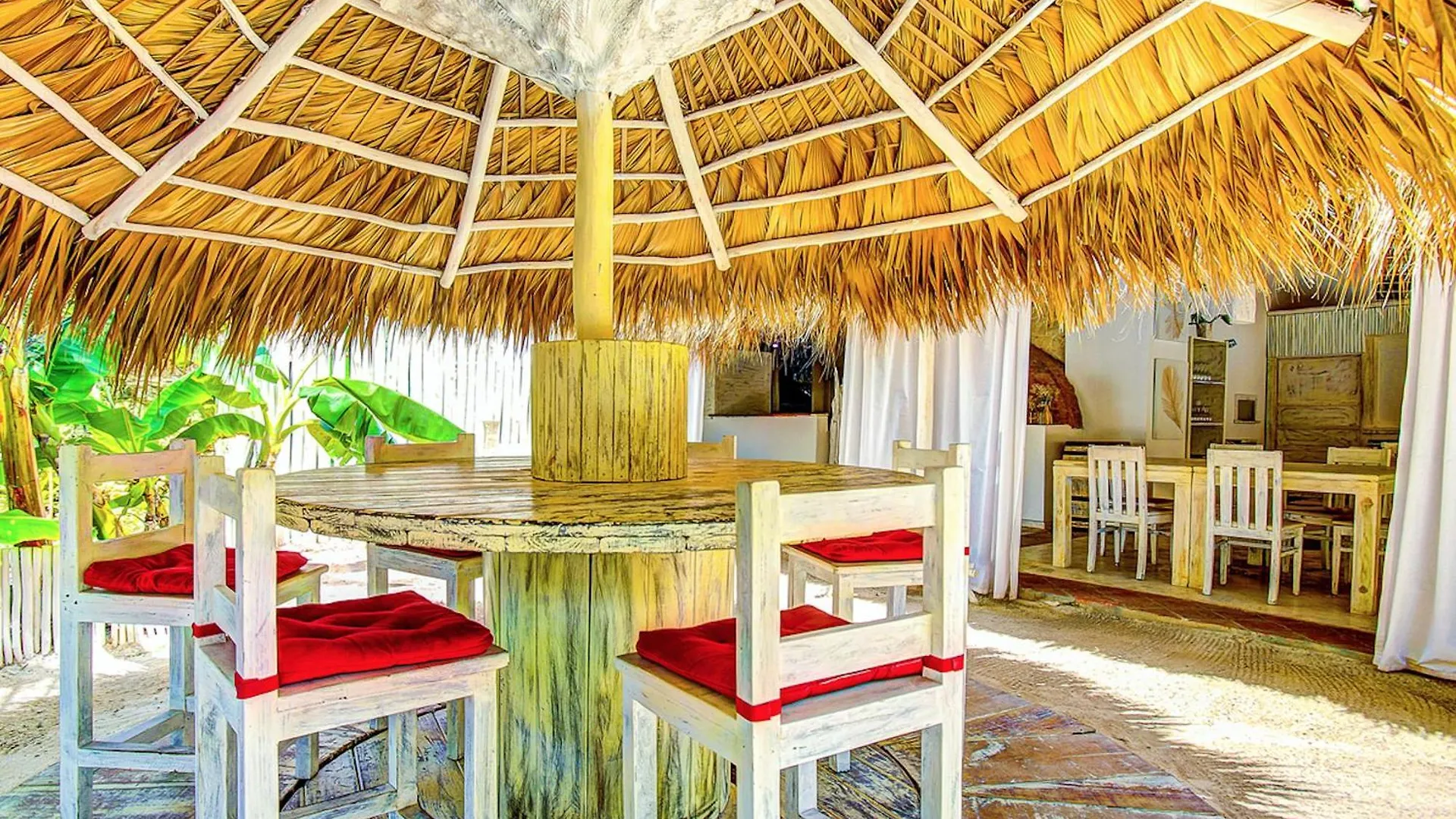 Tropicana Suites Deluxe Beach Club And Pool - Playa Los Corales Punta Cana Dominican Republic